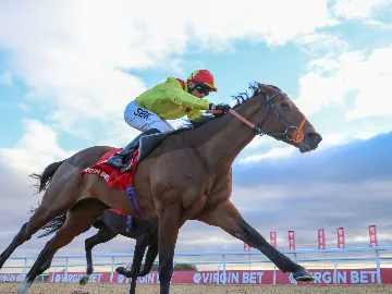 February 16th- Sunday afternoon, flat racing, all weather track