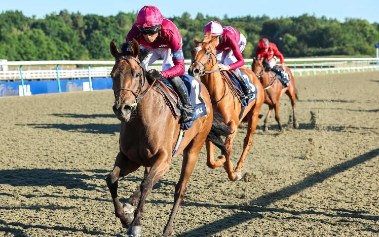 Immortal Beauty leads home a one-two for London & The South (credit: Grossick Racing Photography)