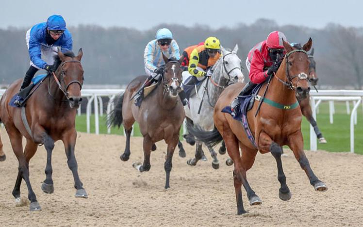 Horses charging down a straight at Newcastle Racecourse.