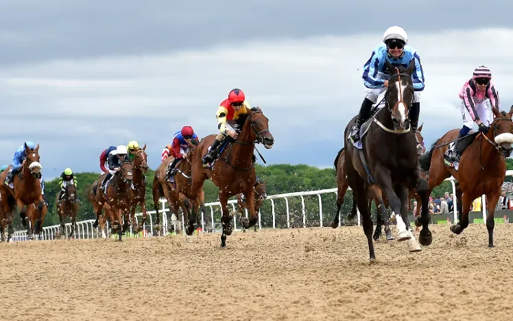 A large field of horses racing towards the finish on the track at Newcastle