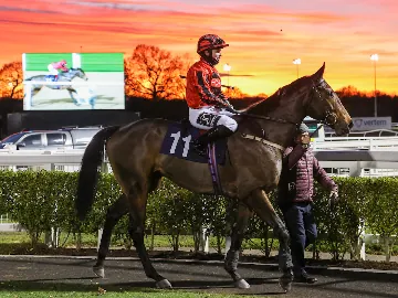 January 31st- floodlit 