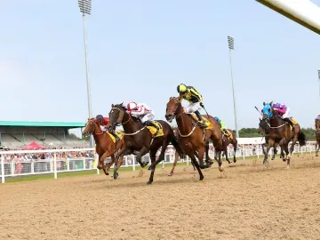Horses racing on the all weather track at Newcastle