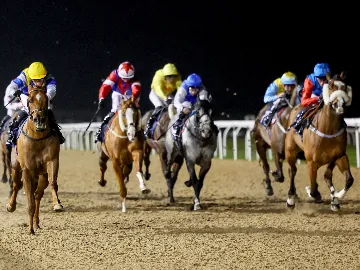 February 19th- Thursday floodlit racing, all weather