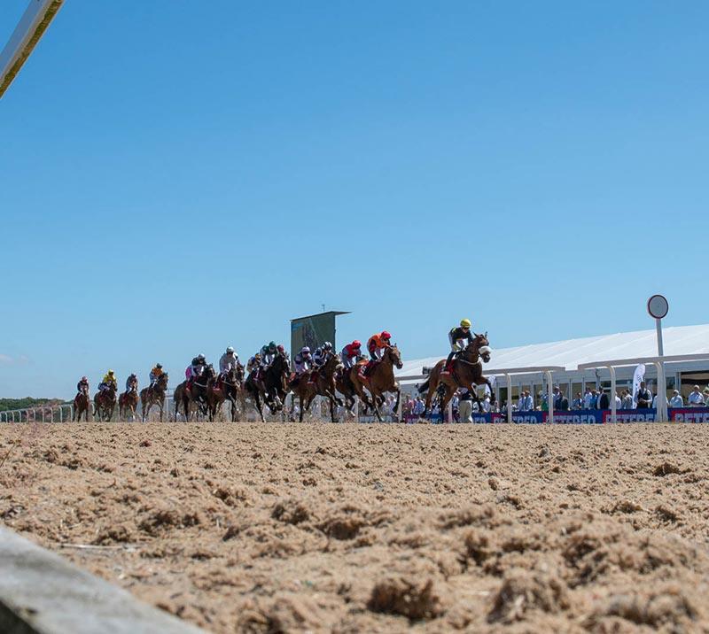 Group of jockeys racing at Newcastle Racecourse with the centre course marquee in the background.