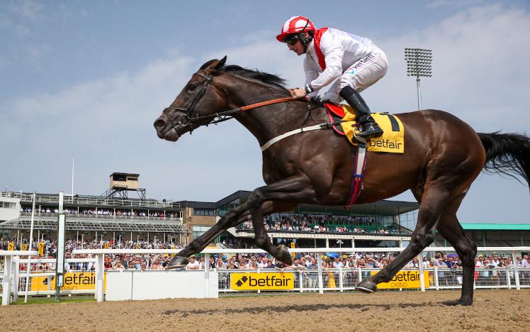 Invincible Army wins the Group 3 Chipchase Stakes at Newcastle Racecourse