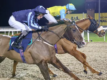 January 24th- floodlit