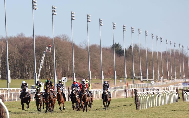 Jumps racing at Newcastle Racecourse