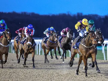 December 12th- Saturday eying, floodlit racing, all weather track