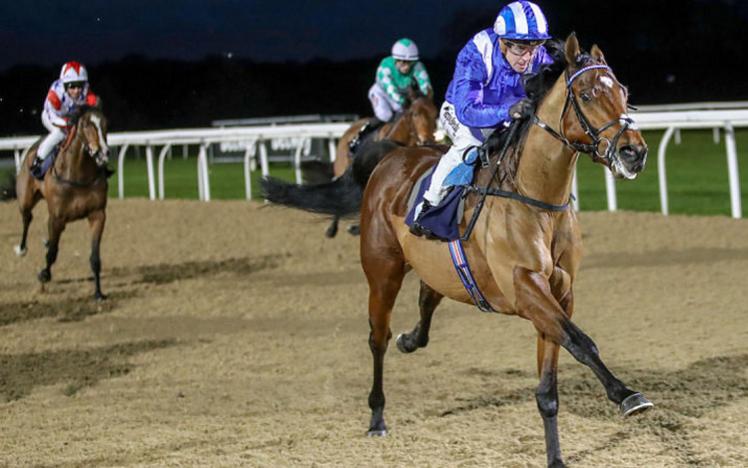 Three horses running down a straight during evening racing.