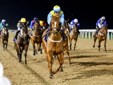 October 30th- Friday evening, floodlit racing on all weather track