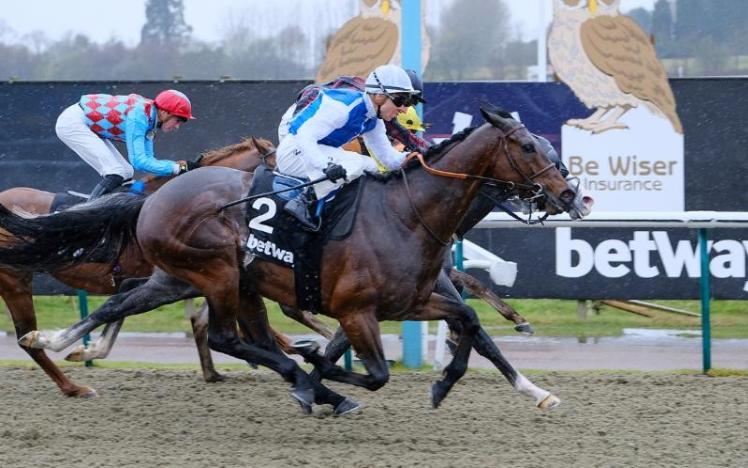 Funny Kid winning the Marathon Final at Lingfield