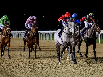 September 19th- floodlit