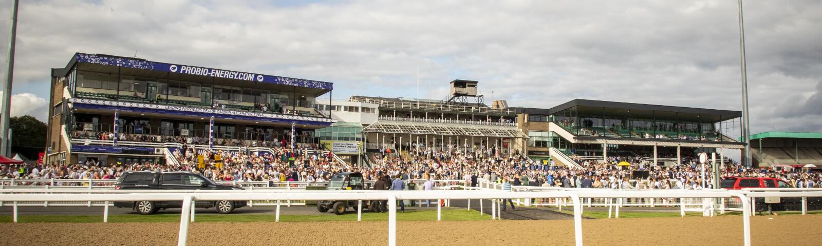 A wide shot of the many stands at Newcastle, with the all weather track in front