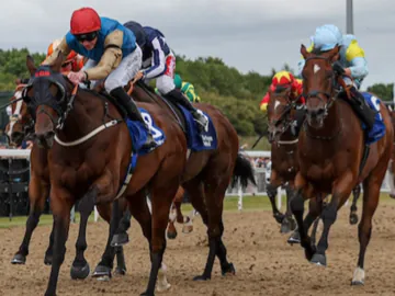 January 13th- afternoon flat