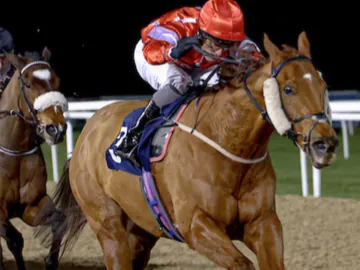 January 22- floodlit